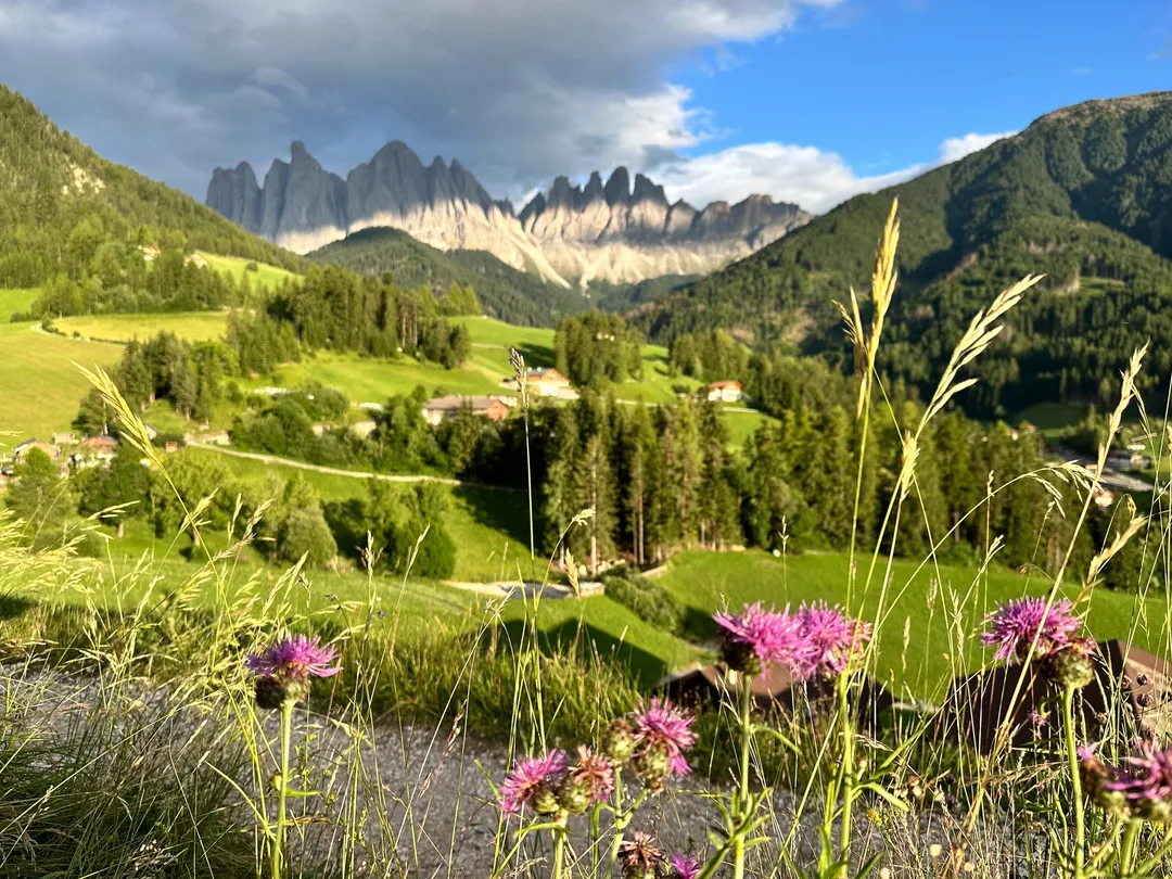 Santa Maddalena, Italy. Photograph by Marian Kozaczewski.