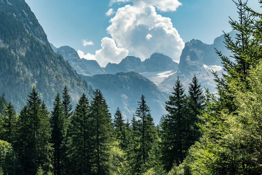 Gosausee, Austria. Photograph by Marian Kozaczewski.
