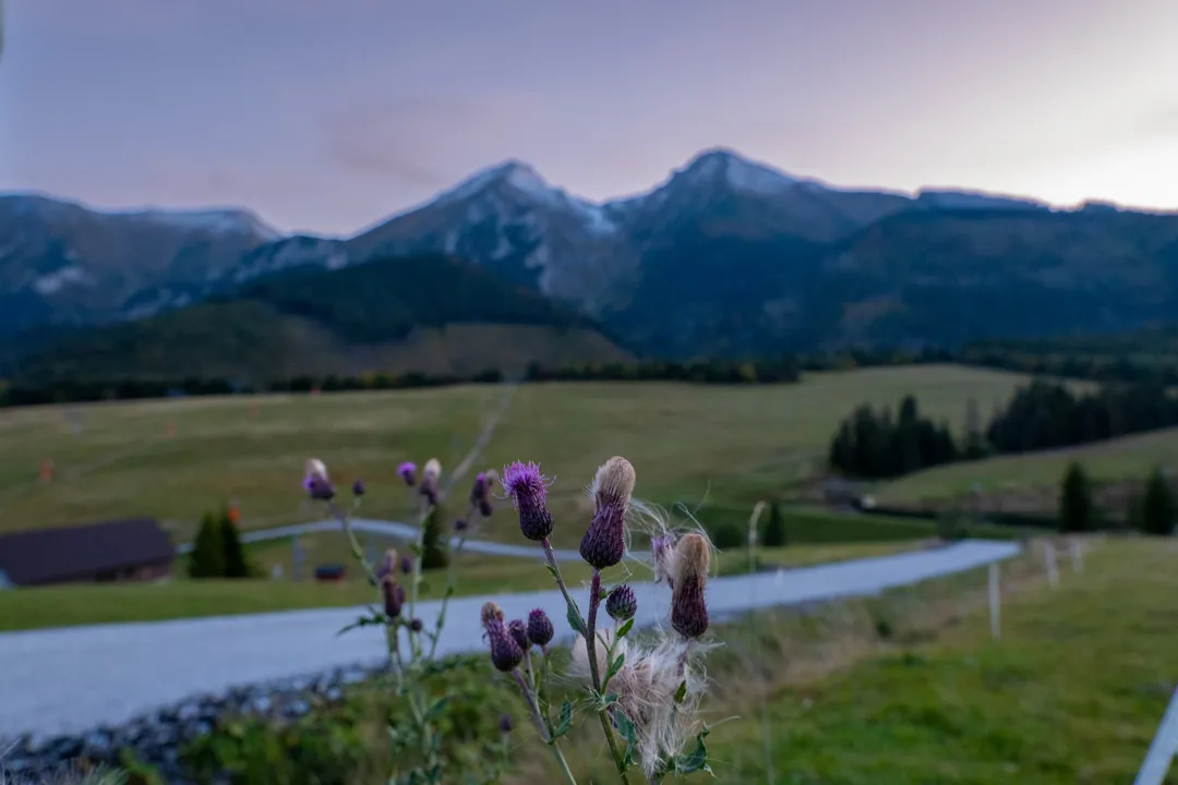 Ždiar, Slovakia. Photograph by Marian Kozaczewski.
