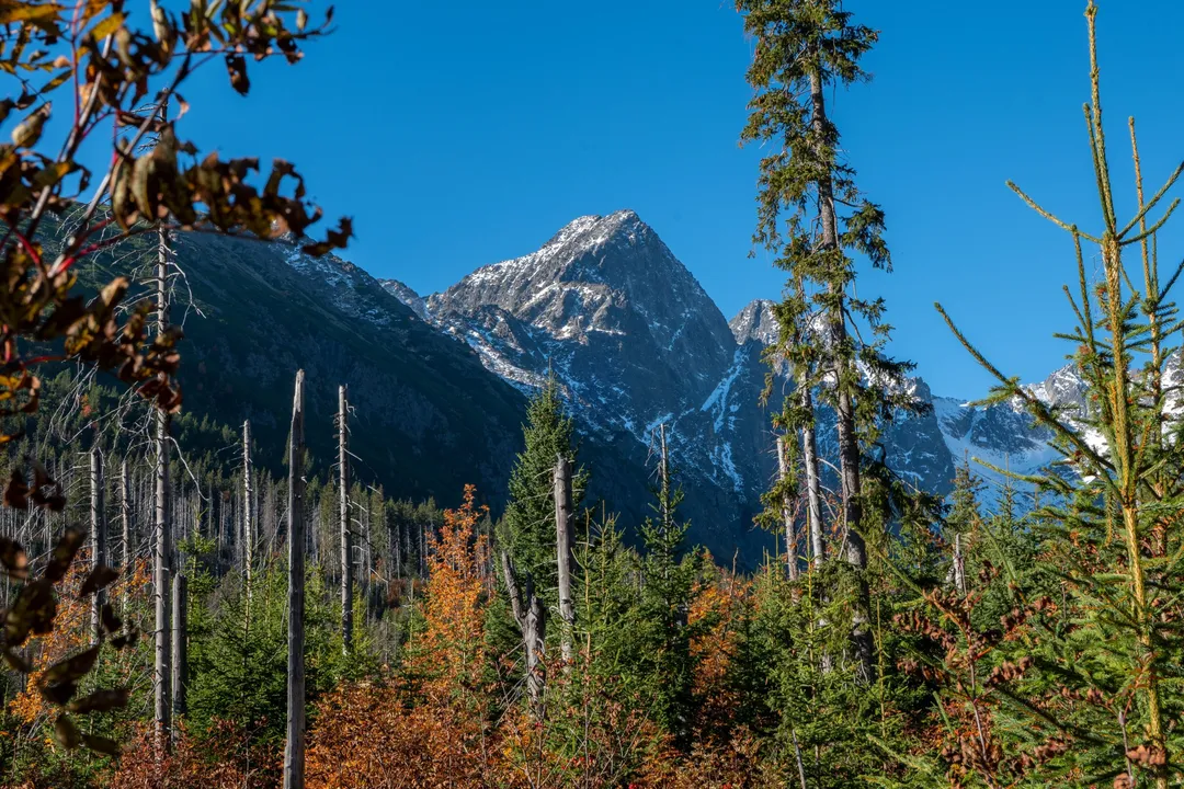 Veľké Biele pleso, Slovakia. Photograph by Marian Kozaczewski.