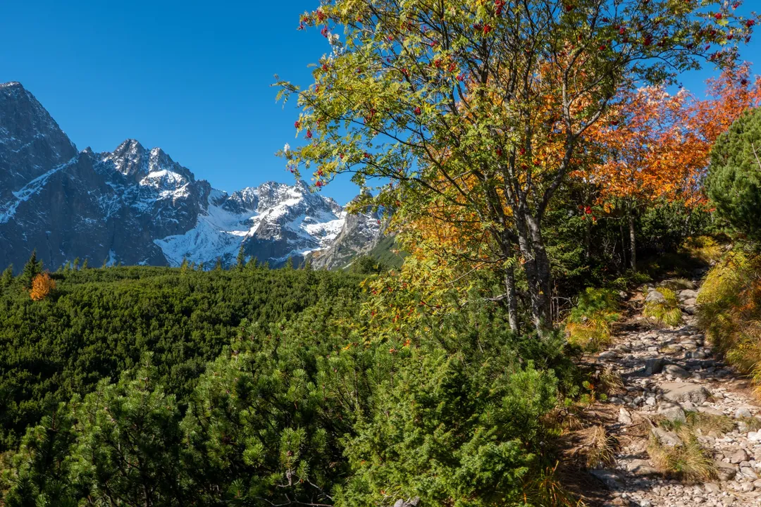Zelené pleso, Slovakia. Photograph by Marian Kozaczewski.