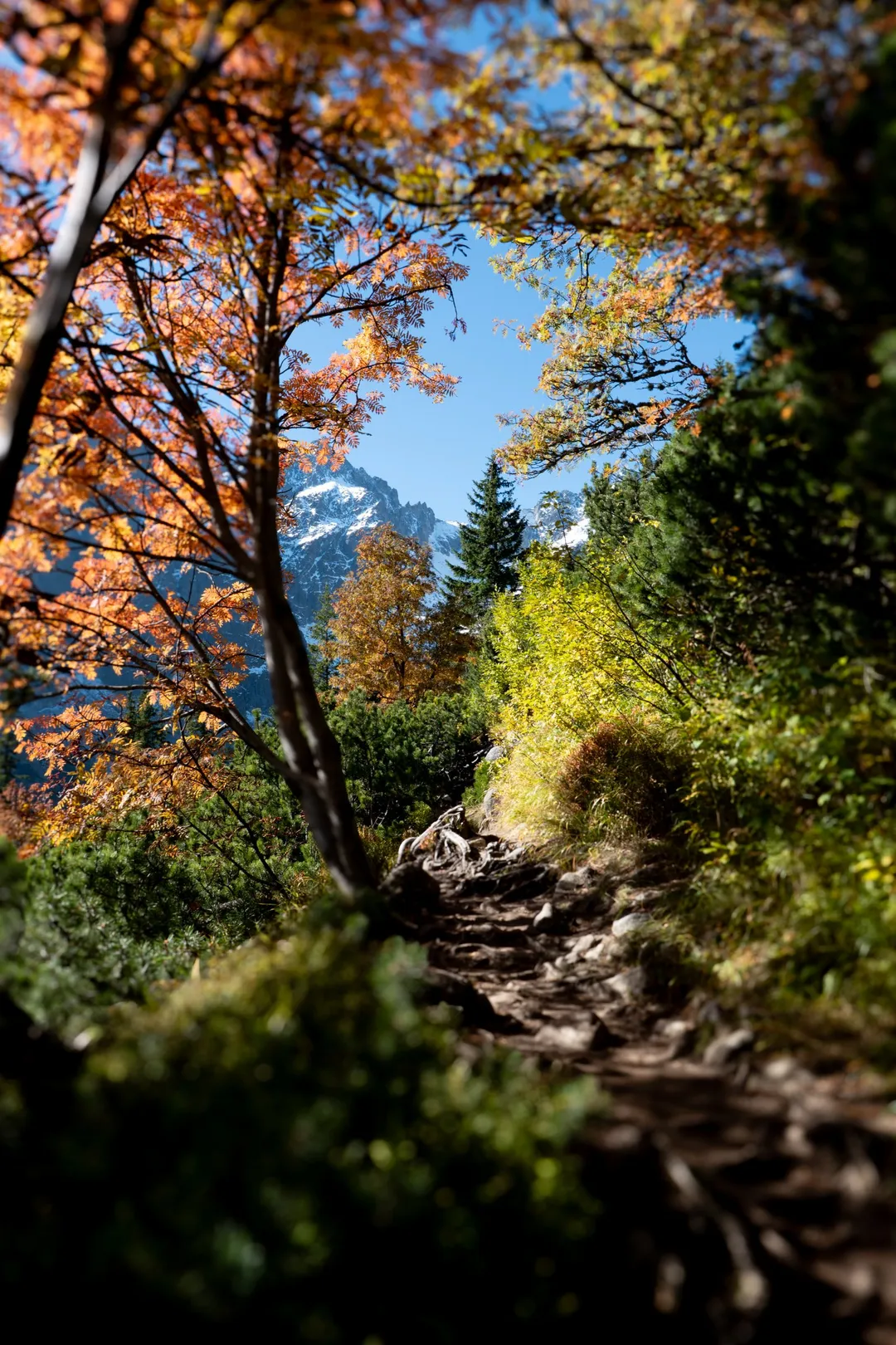 Veľké Biele pleso, Slovakia. Photograph by Marian Kozaczewski.