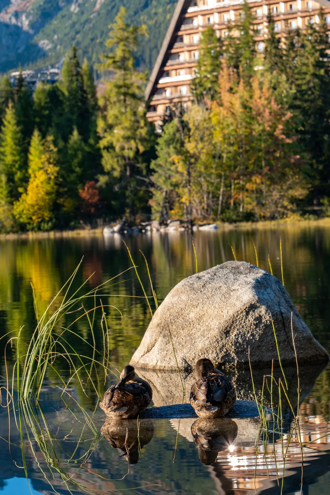 Štrbské pleso, Slovakia. Photograph by Marian Kozaczewski.